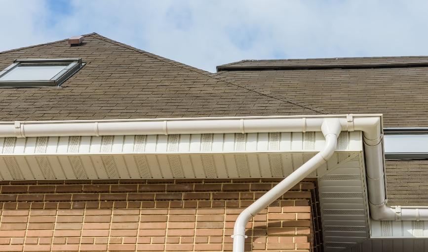 Gutter Cleaning